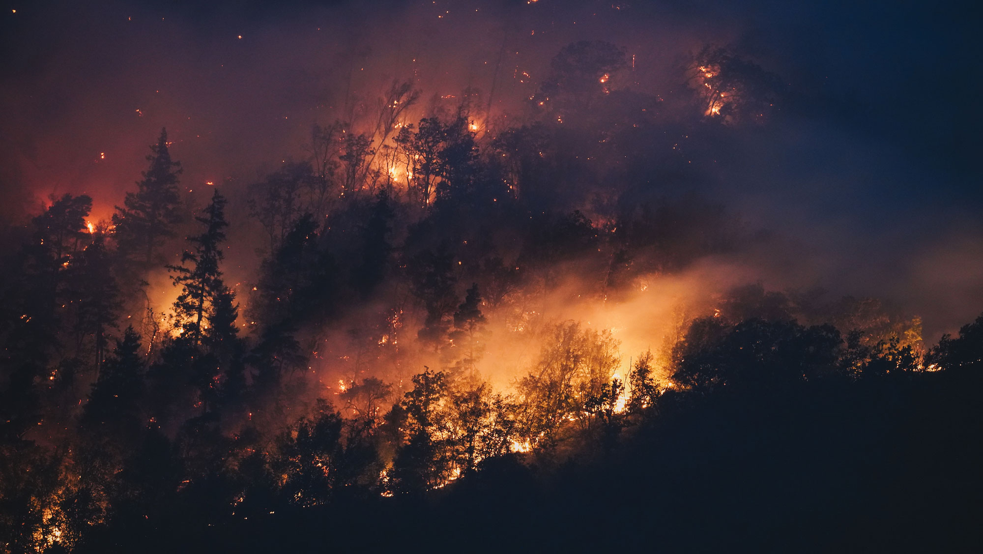 Wildfire/forest fire